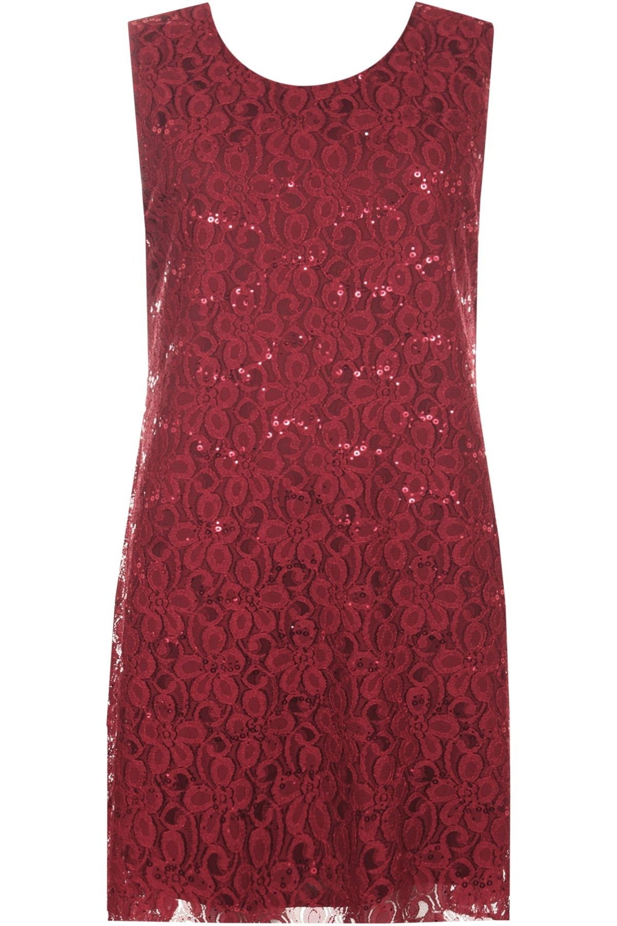 Red Plus Size Flapper Lace Dress For Women 24-26 - Dropwear