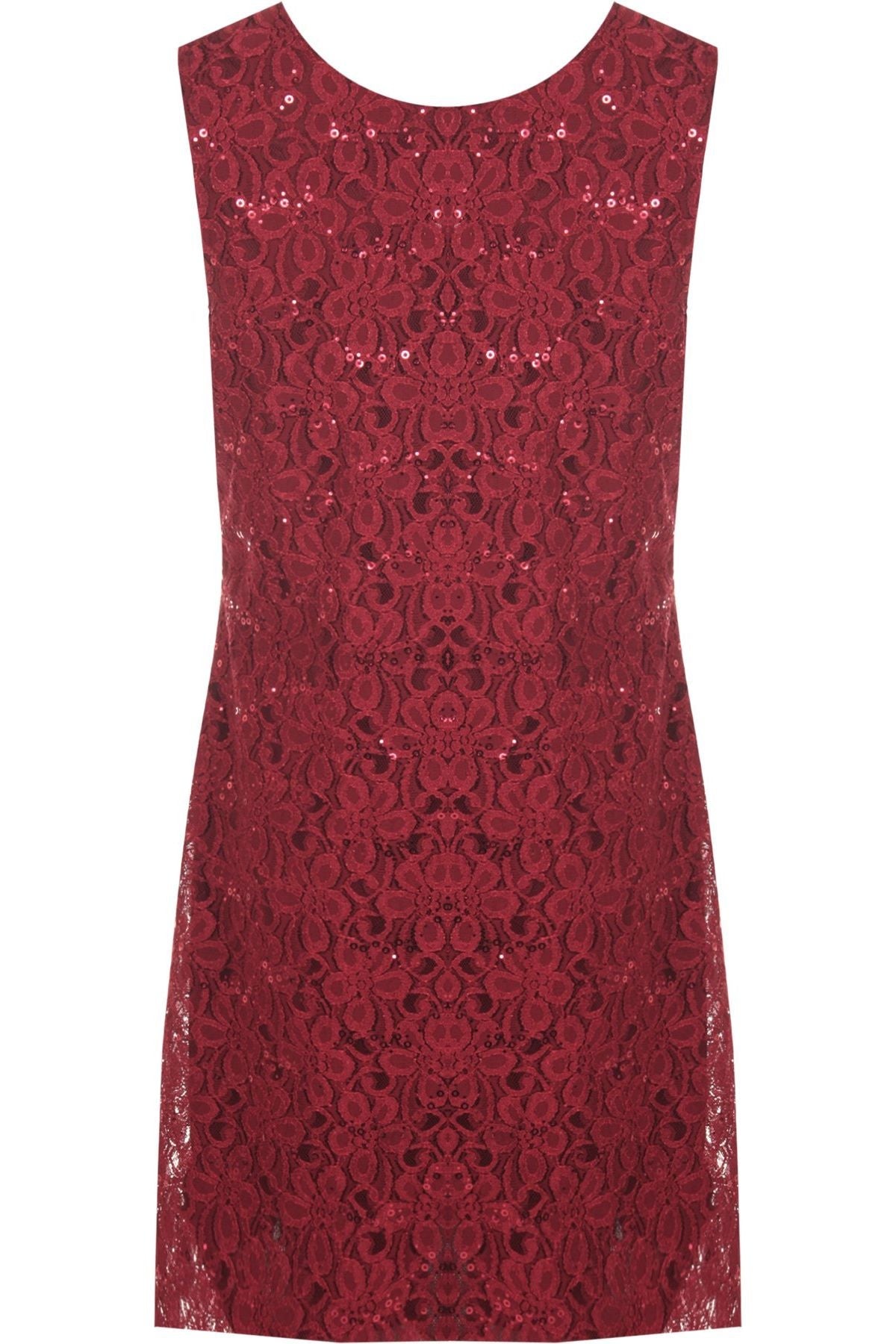 Wine Plus Size Flapper Lace Dress For Women 24-26 - Dropwear