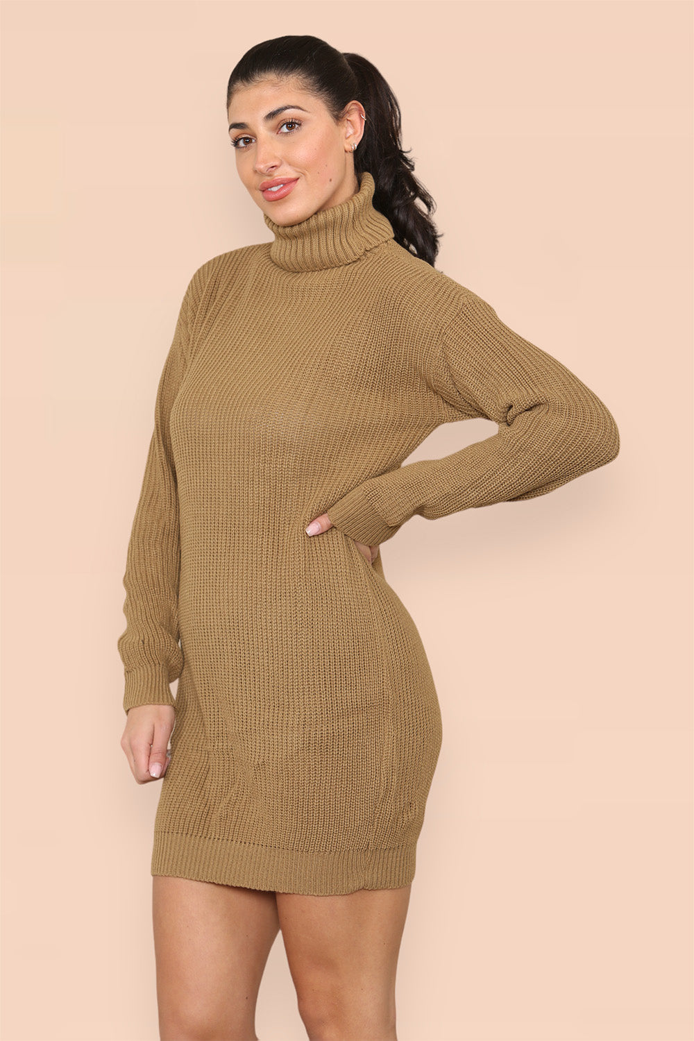 Polo Roll Neck Over Sized Ribbed Knitted Florescent Chunky Sweater Jumper Dress For Women  - Dropwear