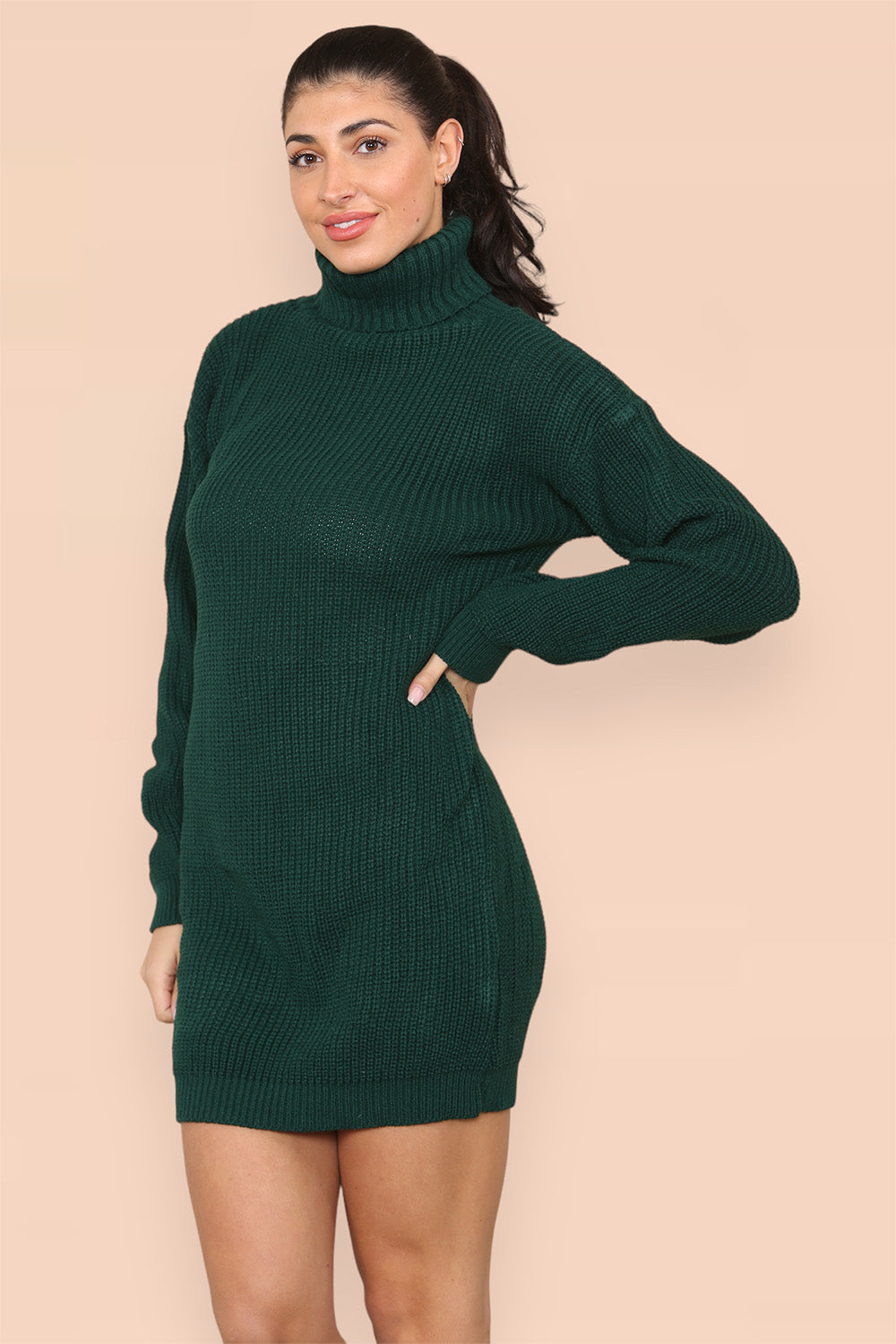 Polo Roll Neck Over Sized Ribbed Knitted Florescent Chunky Sweater Jumper Dress For Women  - Dropwear
