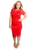 Purple Lace Lined Short Bodycon Midi Dress For Women 30-32 - Dropwear