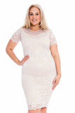 Black Lace Lined Short Bodycon Midi Dress For Women 14 - Dropwear